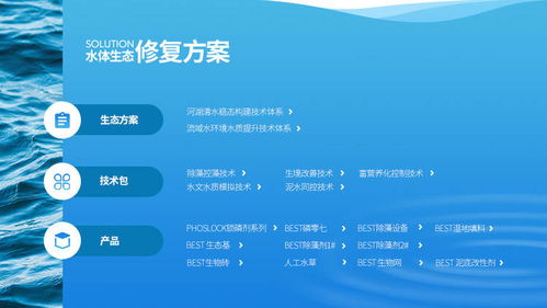 易企宣助力澳洲上市公司林澤圣泰中國區(qū)網(wǎng)站策劃開發(fā)，專業(yè)服務(wù)廈門中小企業(yè)網(wǎng)站建設(shè)